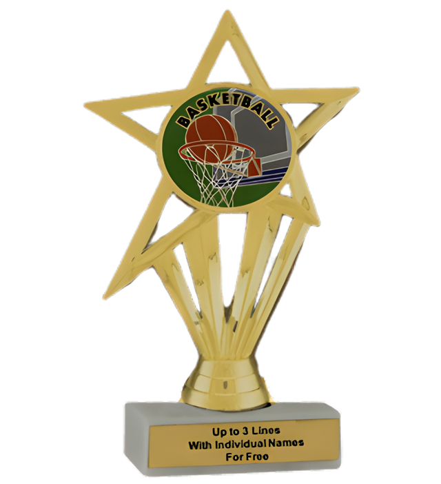 Budget Basketball Insert Trophy