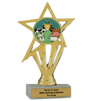 Budget County Fair Insert Trophy