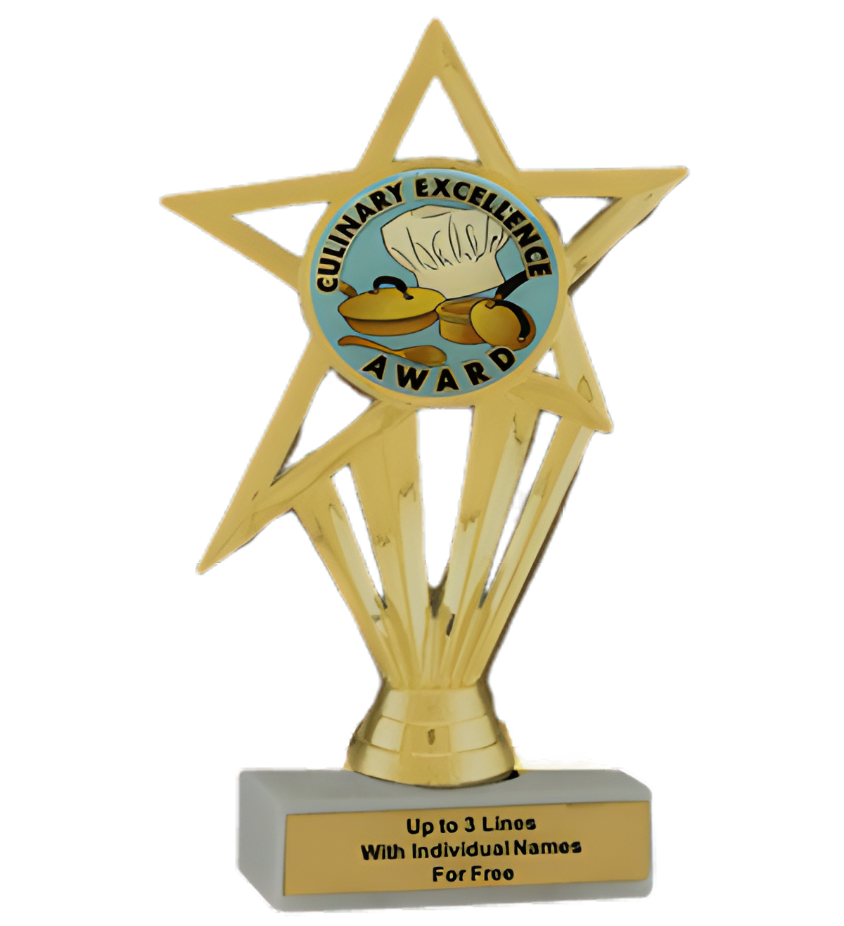 Budget Culinary Insert Trophy