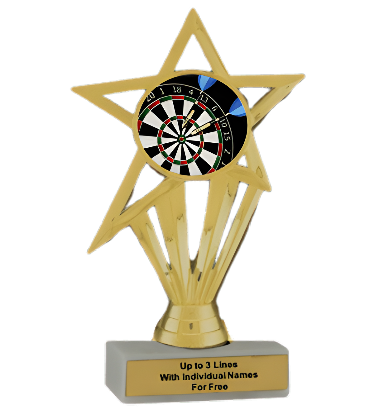 Budget Darts Insert Trophy