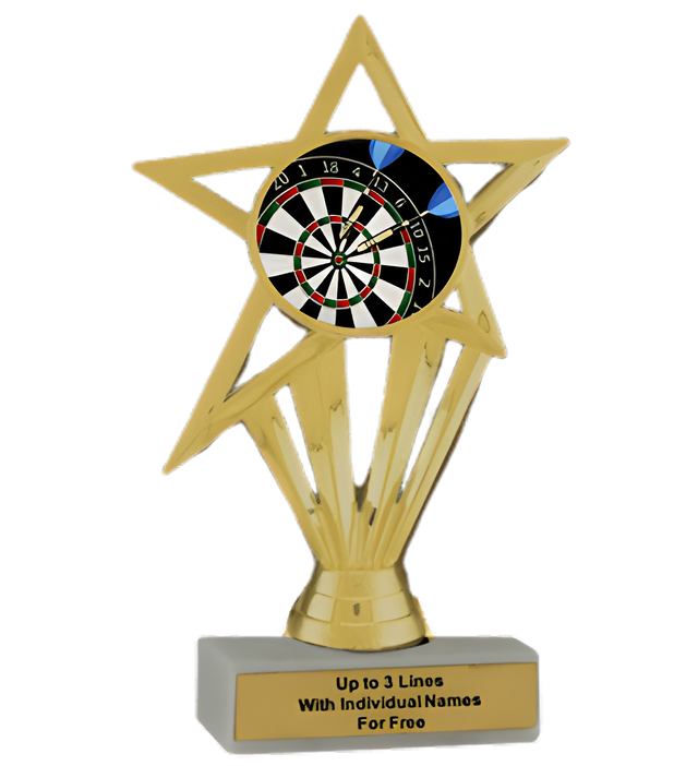 Budget Darts Insert Trophy