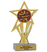 Budget Excellence Insert Trophy