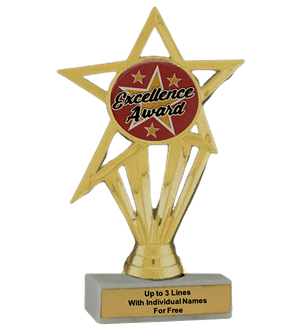 Budget Excellence Insert Trophy