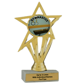 Budget Gymnastics Insert Trophy
