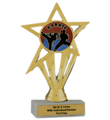 Budget Karate Insert Trophy