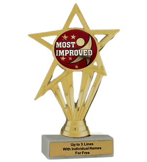 Budget Most Improved Insert Trophy
