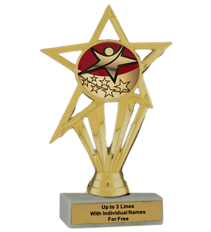 Budget Rising Star Insert Trophy