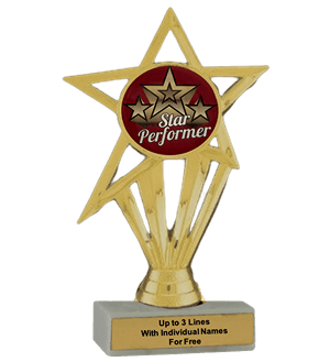 Budget Star Performer Insert Trophy