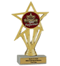 Budget Star Performer Insert Trophy