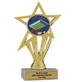 Budget Swimming Insert Trophy