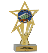 Budget Swimming Insert Trophy