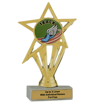Budget Track Insert Trophy