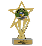 Budget Volleyball Insert Trophy