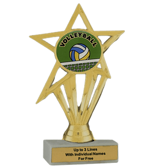 Budget Volleyball Insert Trophy