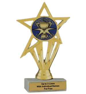 Budget Volunteer Insert Trophy