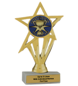 Budget Volunteer Insert Trophy