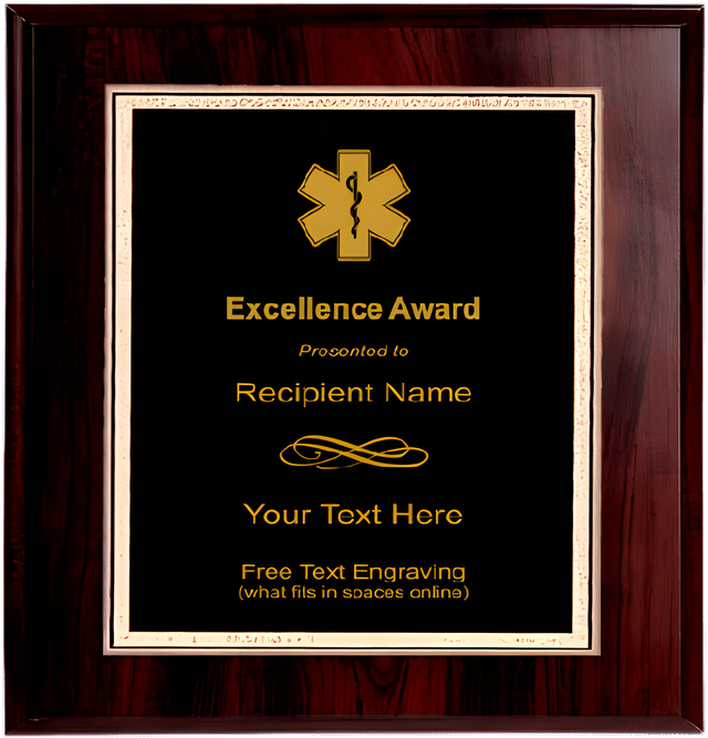 EMS Plaque