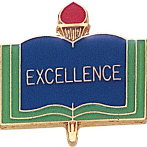 Excellence Pins