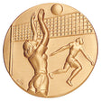 Female Litho Volleyball Medal Insert