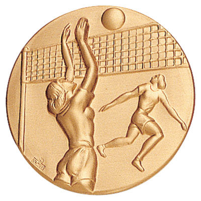 Female Litho Volleyball Medal Insert