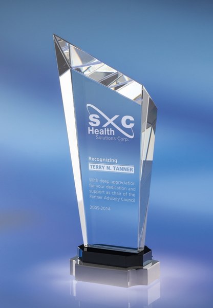 Steadfast Corporate Crystam Award