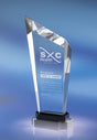 Steadfast Corporate Crystam Award
