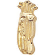 Gold Golf Bag Lapel and Letter Pin