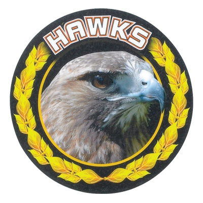 Hawks Mascot Medal Insert
