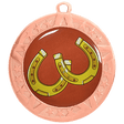 Horseshoes Bronze Medal