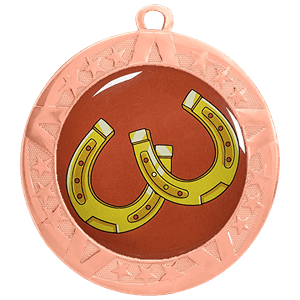 Horseshoes Bronze Medal