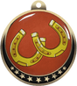 Horseshoes Insert Medal