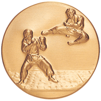 Karate (501161) Litho Medal Insert