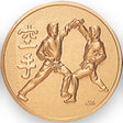 Karate (507129) Litho Medal Insert