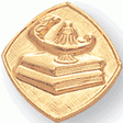 Lamp Of Learning Gold Pin