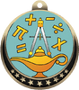 Math Insert Medal