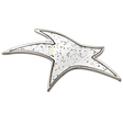Modern Star Pin with Silver Sparkle