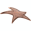Modern Star Pin with Copper Sparkle