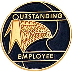 Outstanding Employee Pins