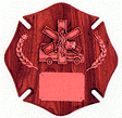 Paramedic Plaque