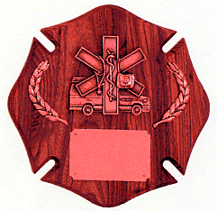 Paramedic Plaque