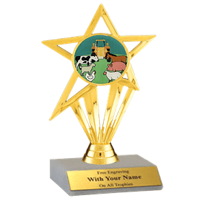 County Fair Participation Insert Trophy