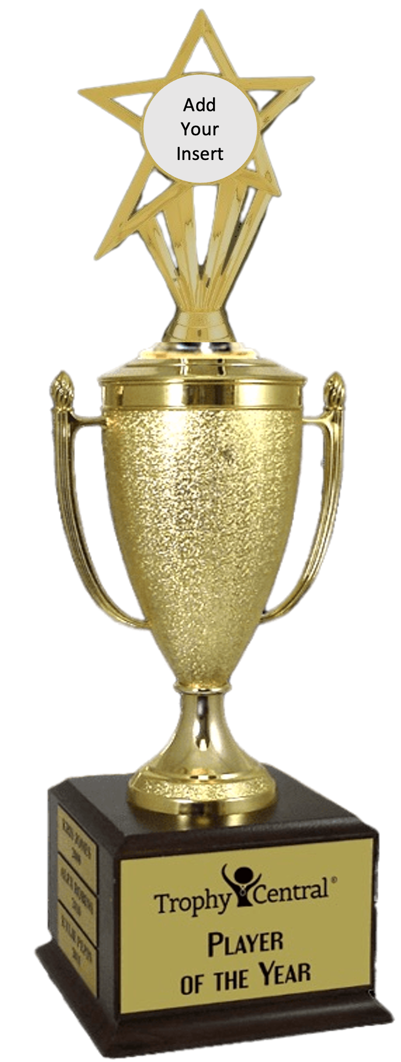 Champion's Perpetual Cup Trophy with Insert
