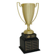 Large Perpetual Cup Trophy