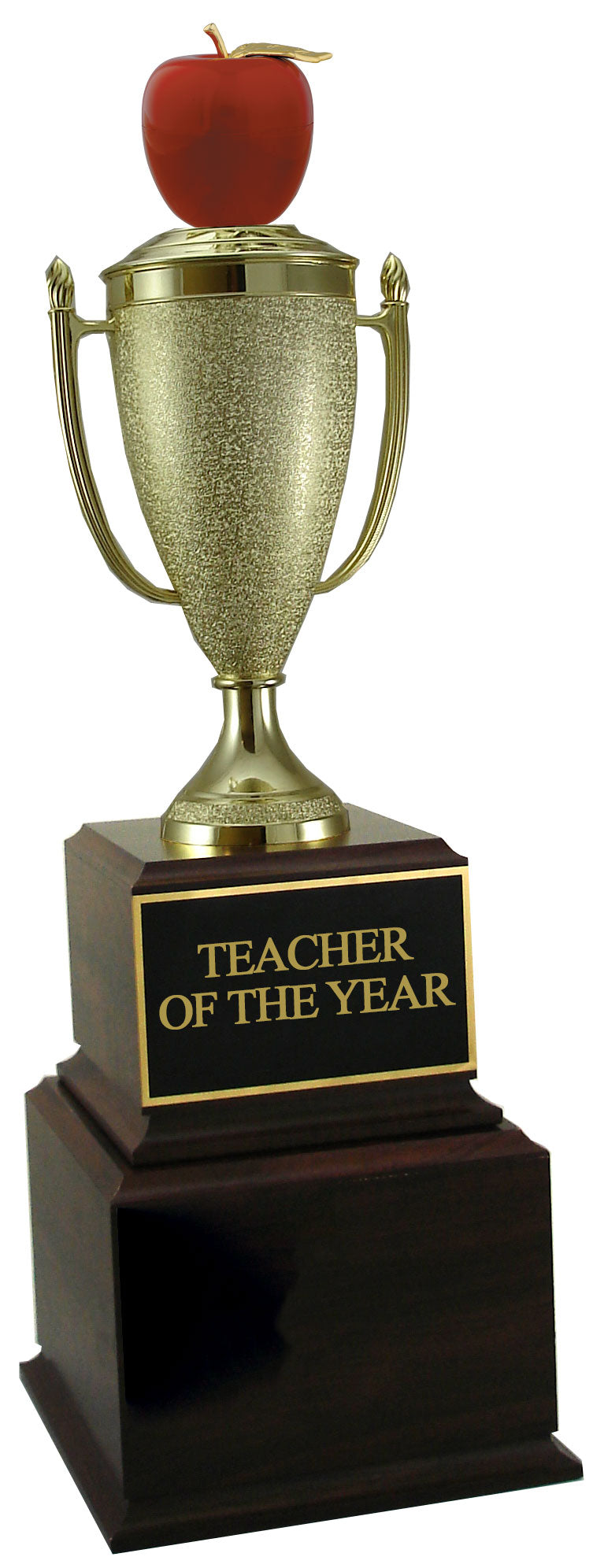 Outstanding Teacher Perpetual Trophy