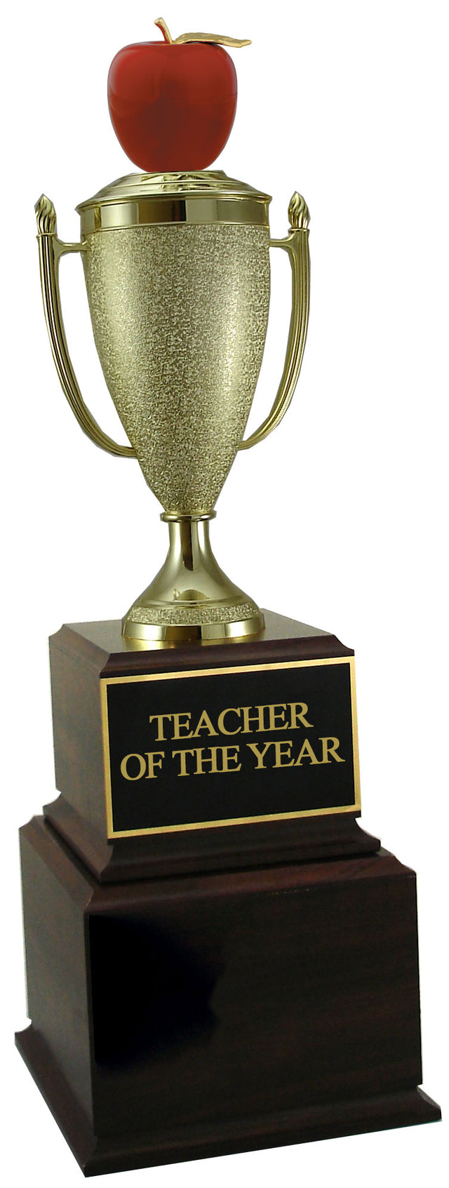 Outstanding Teacher Perpetual Trophy