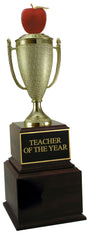 Outstanding Teacher Perpetual Trophy