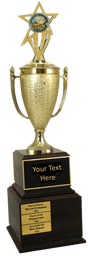 Culinary Perpetual Trophy