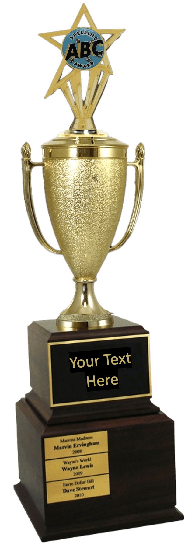 Spelling Bee Insert Perpetual Trophy
