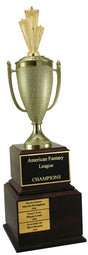 Star Performer Perpetual Trophy