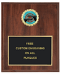 Pistol Shooting Insert Plaque